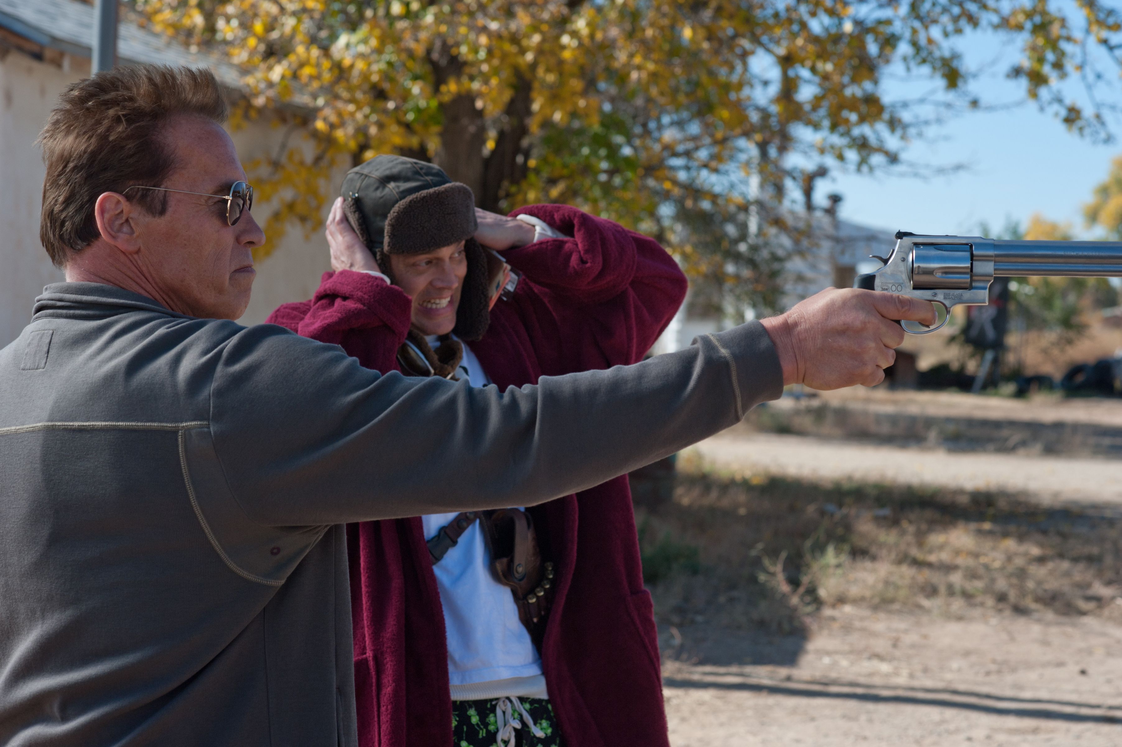 Movie Review: The Last Stand (2013)