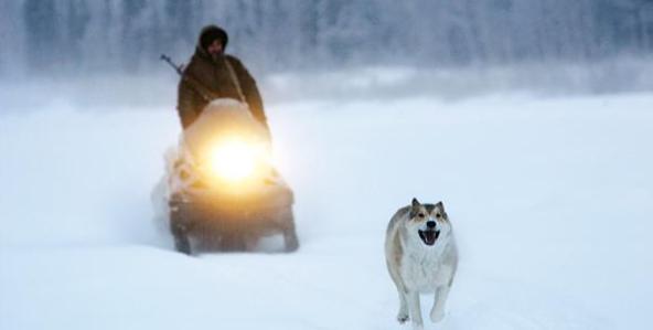 happy people a year in the taiga