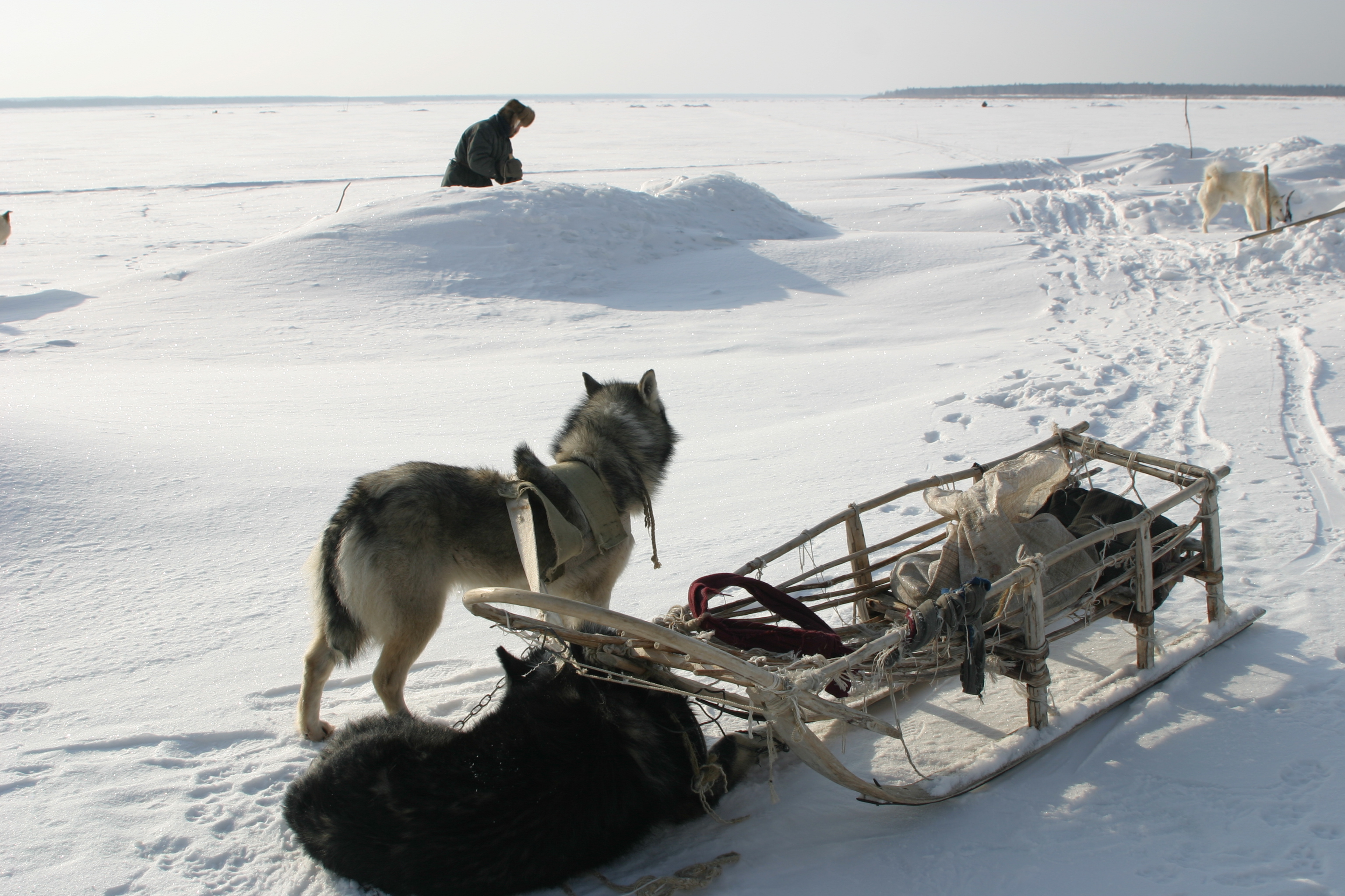 Movie Review: Happy People: A Year in the Taiga (2010)