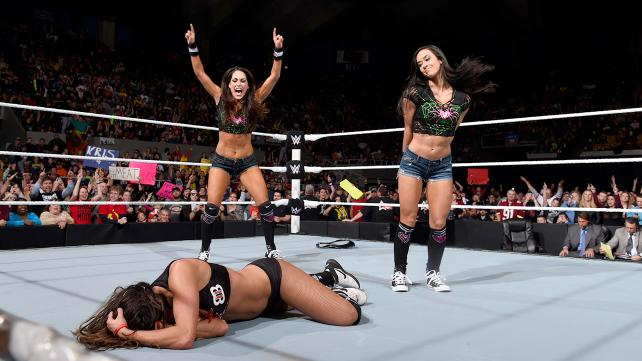 AJ Lee Nikki Bella Brie Bella